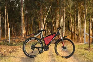 e-bike na krótkie dystanse